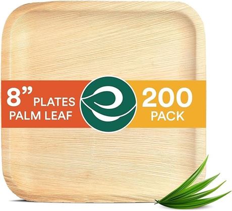 BUY NOW Eco Soul - Compostable Plates - 14.200 plates, Total Retail €6.259